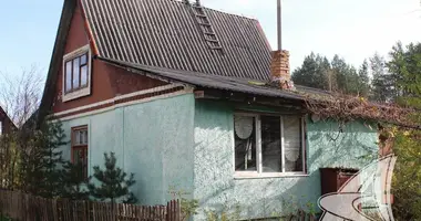 Haus in Vielikarycki siel ski Saviet, Weißrussland