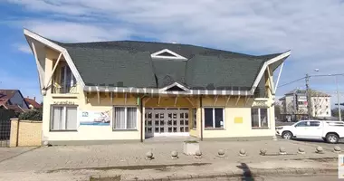 Commercial property 300 m² in Debreceni jaras, Hungary