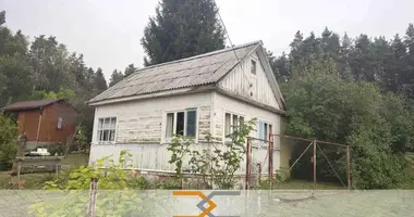 House in Zdanovicki sielski Saviet, Belarus