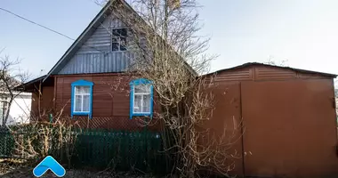 Haus in Hrabauski sielski Saviet, Weißrussland