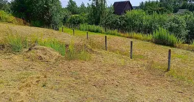 Terrain dans Aziaryckaslabadski siel ski Saviet, Biélorussie