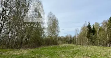 Участок земли в городской округ Истра, Россия
