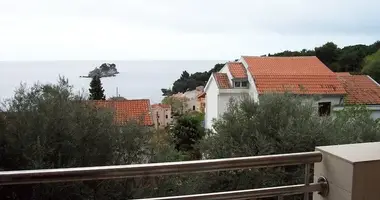 Apartamento 1 habitacion en Petrovac, Montenegro