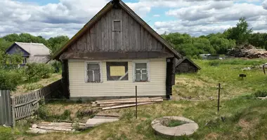 Dom w Stankauski sielski Saviet, Białoruś