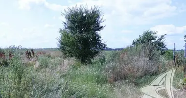 Grundstück in Kryulianski sielski Saviet, Weißrussland