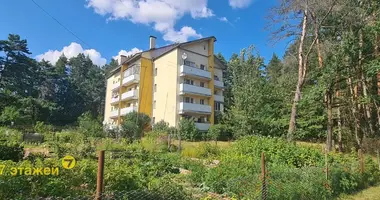 Apartamento 1 habitación en Valievacy, Bielorrusia