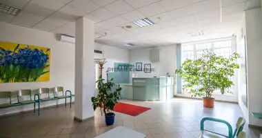 Commercial property 650 m² in Budapest, Hungary