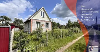 Maison dans Holacki sielski Saviet, Bélarus