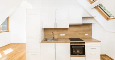 Apartamento 2 habitaciones en St Kathrein am Hauenstein, Austria