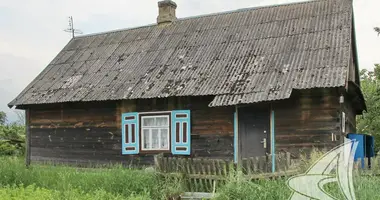 House in Navickavicki sielski Saviet, Belarus