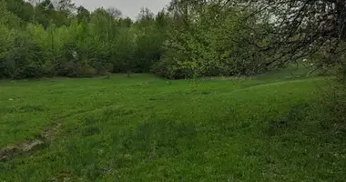 Plot of land in Ambrolauri Municipality, Georgia