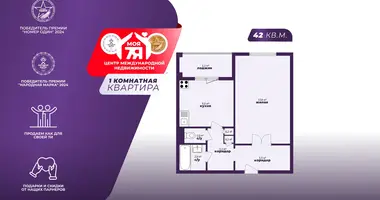 1 room apartment in Minsk, Belarus