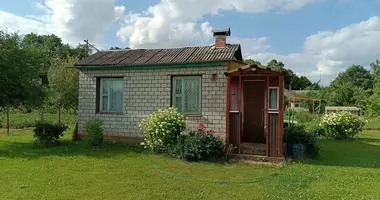 Maison dans Karaliscavicy, Biélorussie