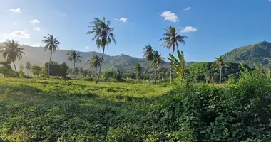 Terrain dans Balai Desa, Indonésie