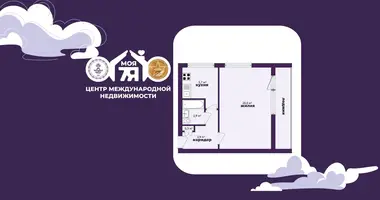 1 room apartment in Minsk, Belarus