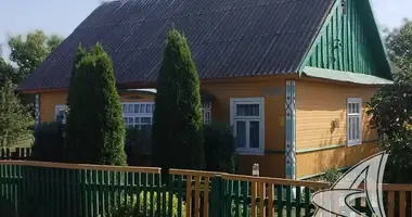 Дом в Дмитровичи, Беларусь
