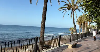 Wohnung 1 Schlafzimmer in San Pedro Alcantara, Spanien