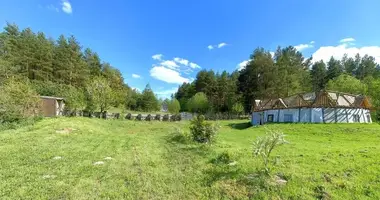 Участок земли в Новый Двор, Беларусь