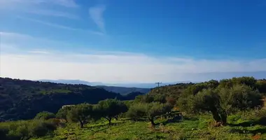 Terrain dans District of Agios Nikolaos, Grèce