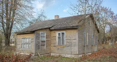 House in Padvariai, Lithuania