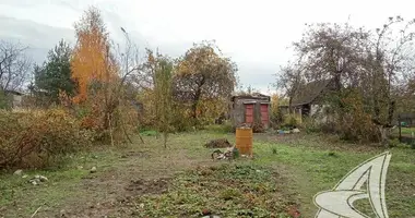 Plot of land in Matykalski sielski Saviet, Belarus