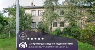 Apartamento 3 habitaciones en Krasnaje, Belarús