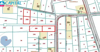 Plot of land in Ruciunai, Lithuania