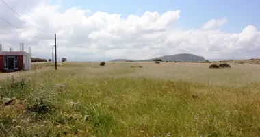 Terrain dans Panormos, Grèce