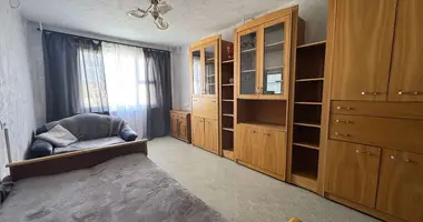 1 bedroom apartment in Minsk, Belarus