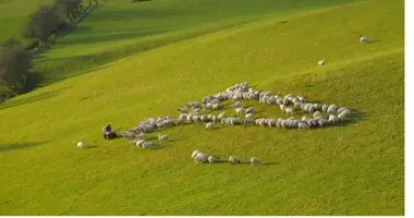 Grundstück in Unterort, Österreich