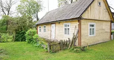 House in Slamai, Lithuania