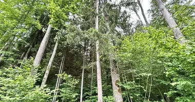 Plot of land in Godenai, Lithuania