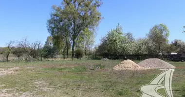 Участок земли в Мухавецкий сельский Совет, Беларусь
