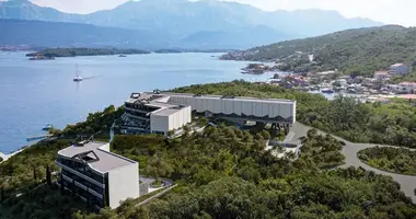 Investment 16 287 m² in Radovici, Montenegro