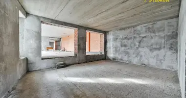 Casa de campo en Minsk, Belarús
