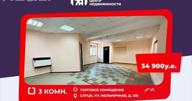 Shop 72 m² in Sluck, Belarus