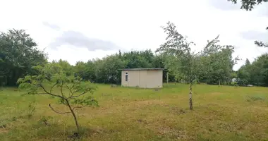 Maison dans Dukorski siel ski Saviet, Biélorussie