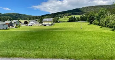 Apartment in Rettenegg, Austria