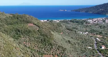 Terrain dans demos thasou, Grèce