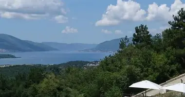 Apartamento 1 habitacion en Tivat, Montenegro