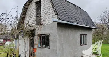 House in Lyscycki sielski Saviet, Belarus