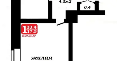 Квартира 1 комната в Минск, Беларусь