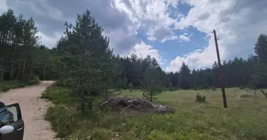 Terrain dans Zabljak, Monténégro