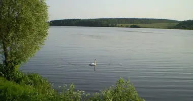 Dom 2 pokoi w Kruglyanskiy selskiy Sovet, Białoruś