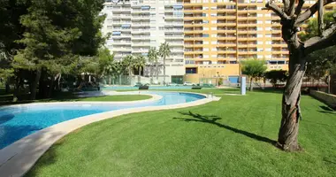 Apartamento 2 habitaciones en Orihuela, España