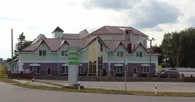 Коммерческое помещение 1 588 м² в Зельва, Беларусь