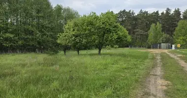 Apartamento en Nekielka, Polonia