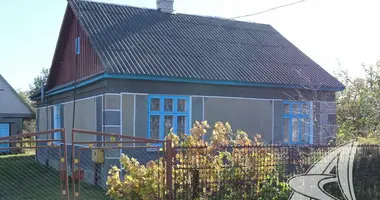 House in Kamyanyets, Belarus