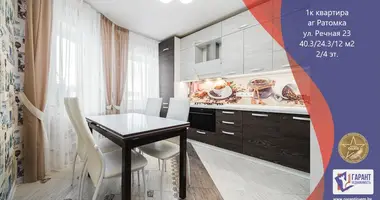 1 room apartment in Ratomka, Belarus