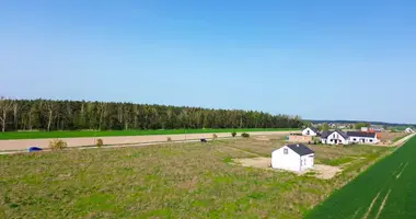 Wohnung in Konarskie, Polen